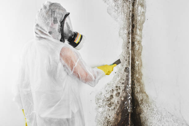 Best Mold Testing  in Elgin, OK