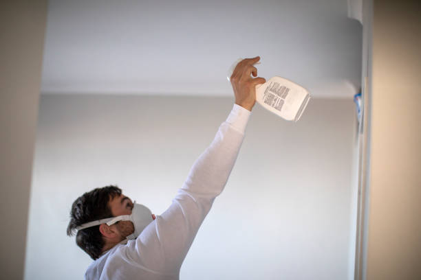 Best Certified Mold Removal  in Elgin, OK