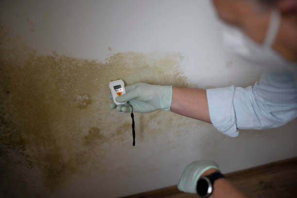 Best Residential Mold Removal  in Elgin, OK
