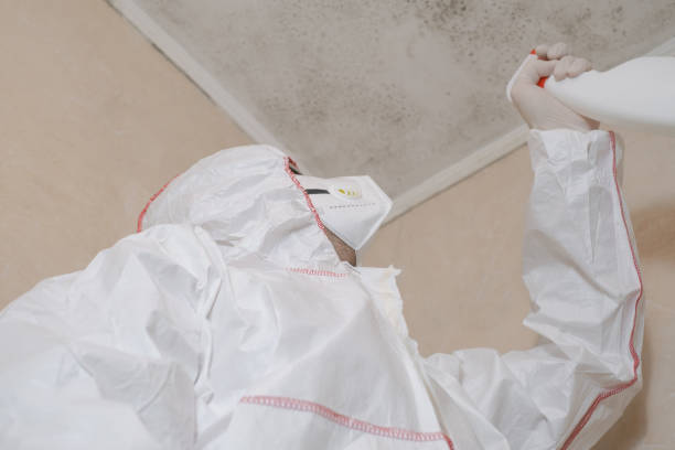 Best Local Mold Removal Service  in Elgin, OK