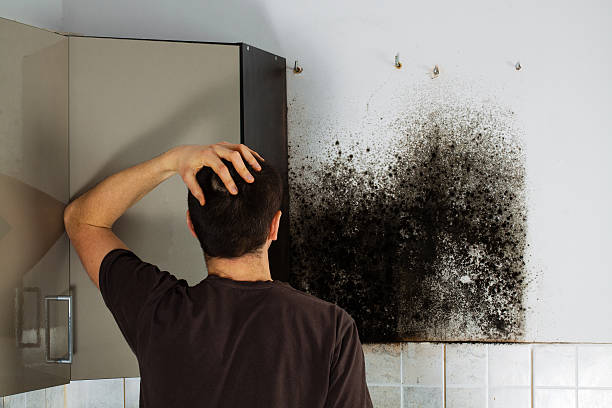 Mold Testing and Removal in Elgin, OK